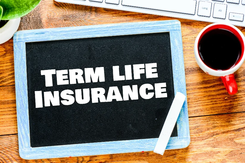 what is term insurance